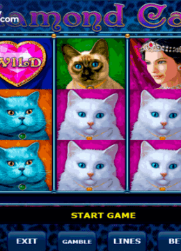 Diamond Cats Slot by Amatic