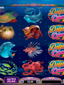 Dolphin Quest Slot by Microgaming